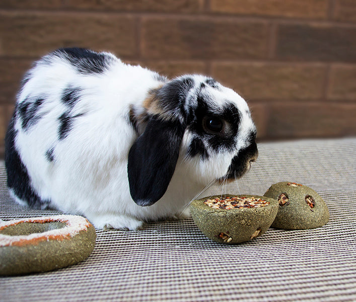 Small Animal Treats