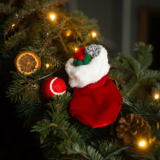 Christmas Cat Stocking