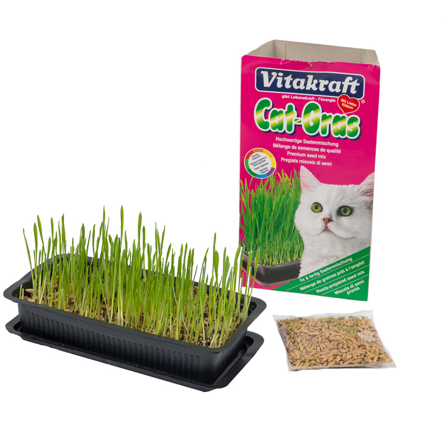 Vitakraft Cat Grass 120g