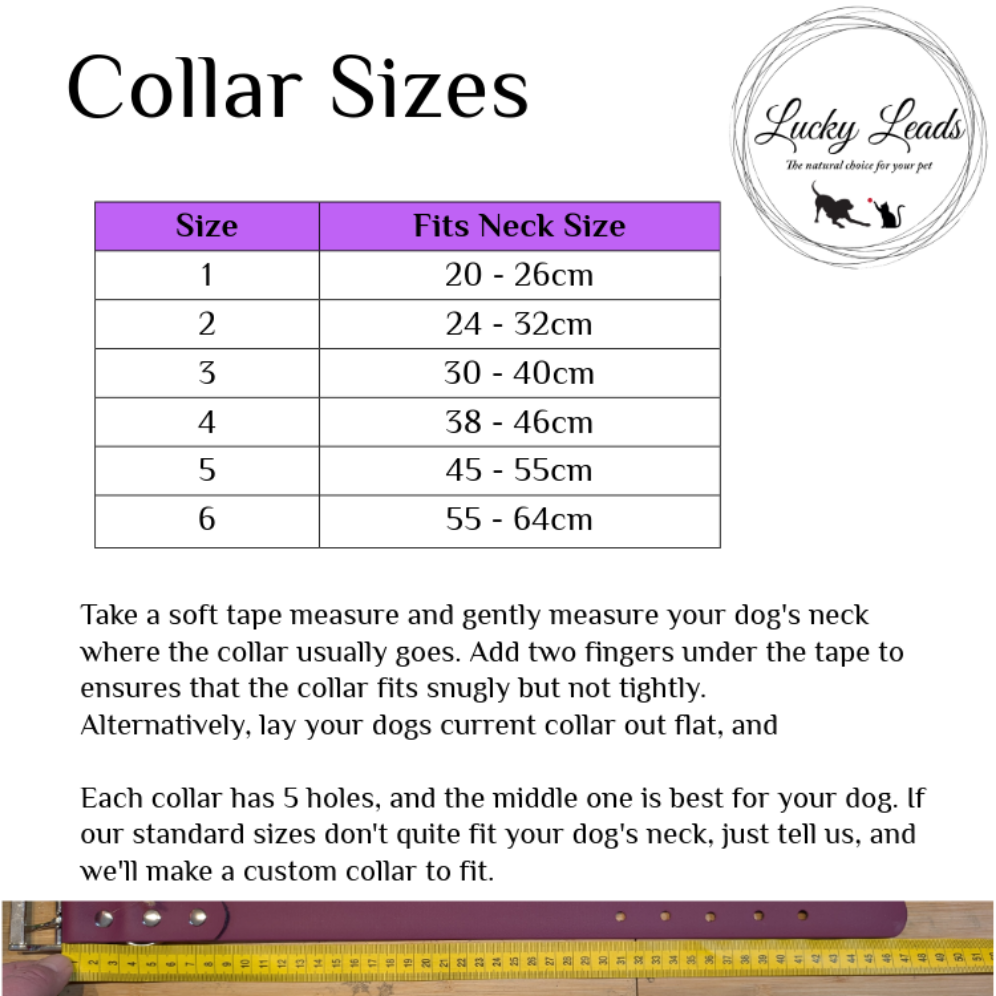 BioThane® Dog Collar, 25mm width - Buckle