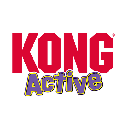 KONG Active Cat Treat Ball