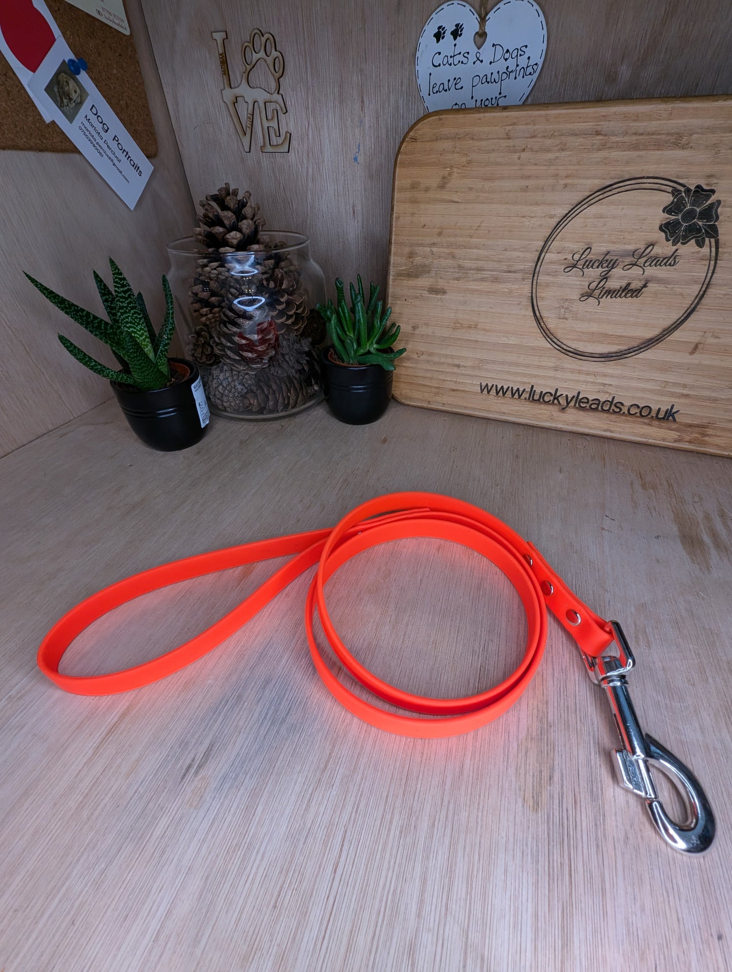 BioThane® Dog Lead 1.2m