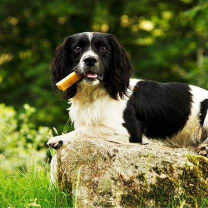 Yak Cheese Dog Chews