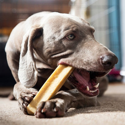 Yak Cheese Dog Chews